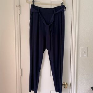 Navy Express Pants - L